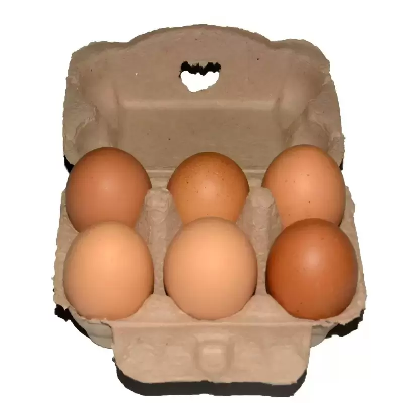 707df4018f84518186ae40055a810b87