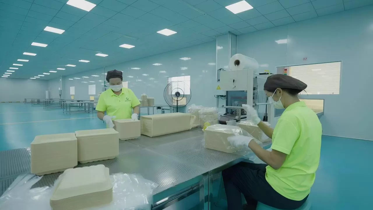 FX3_A_20250913_9430T01(1)(1)