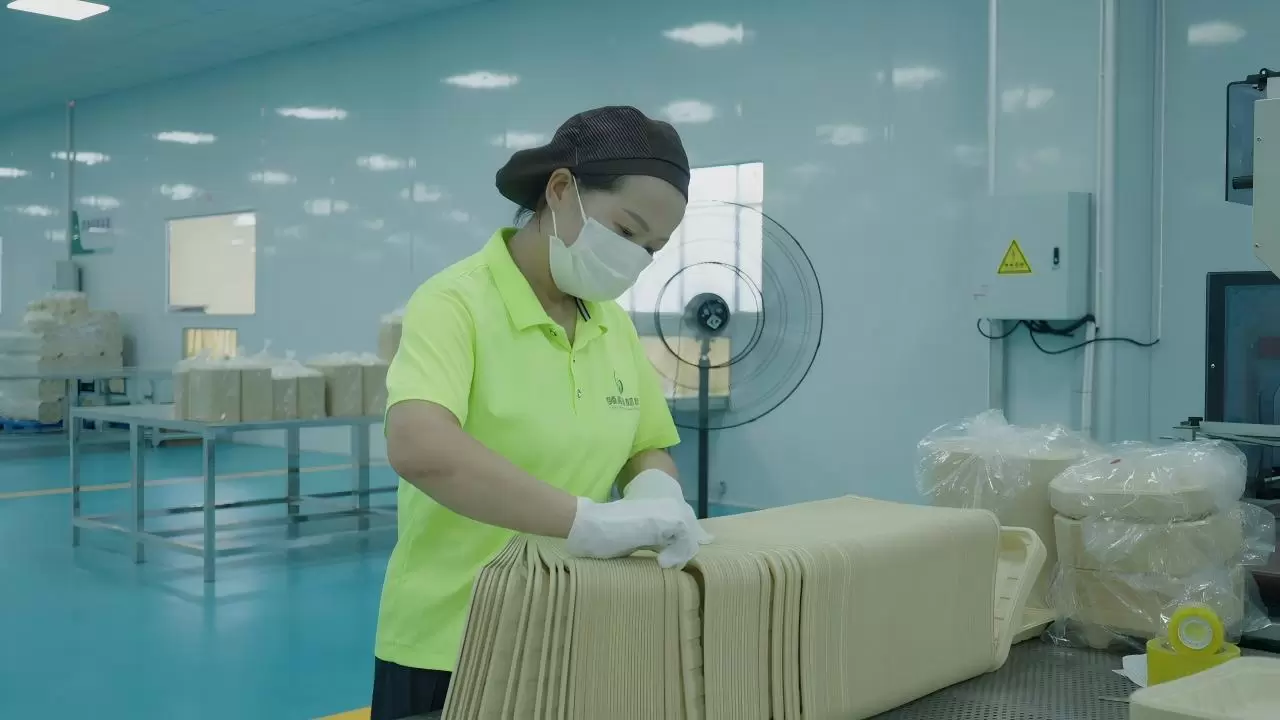 FX3_A_20250913_9431T01(1)(1)