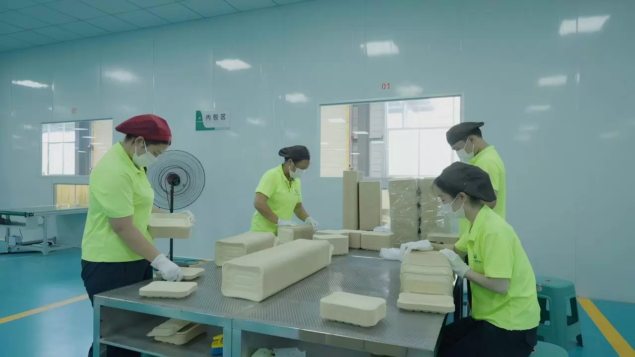 FX3_A_20250913_9432T01(1)(1)