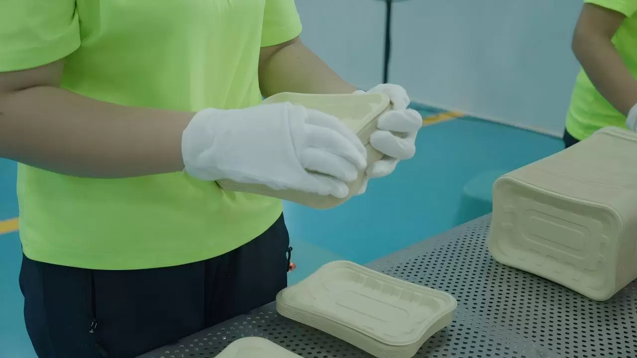 FX3_A_20250913_9433T01(1)(1)